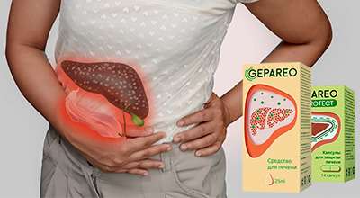 gepareo-dlya-pecheni