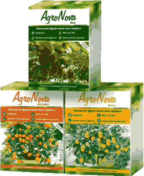 Мини деревья Agronova.