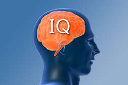 Польза Кортекса в обеспечении высокого IQ.